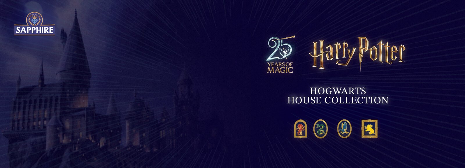 WEB BANNER HP-Recovered.jpg (1)